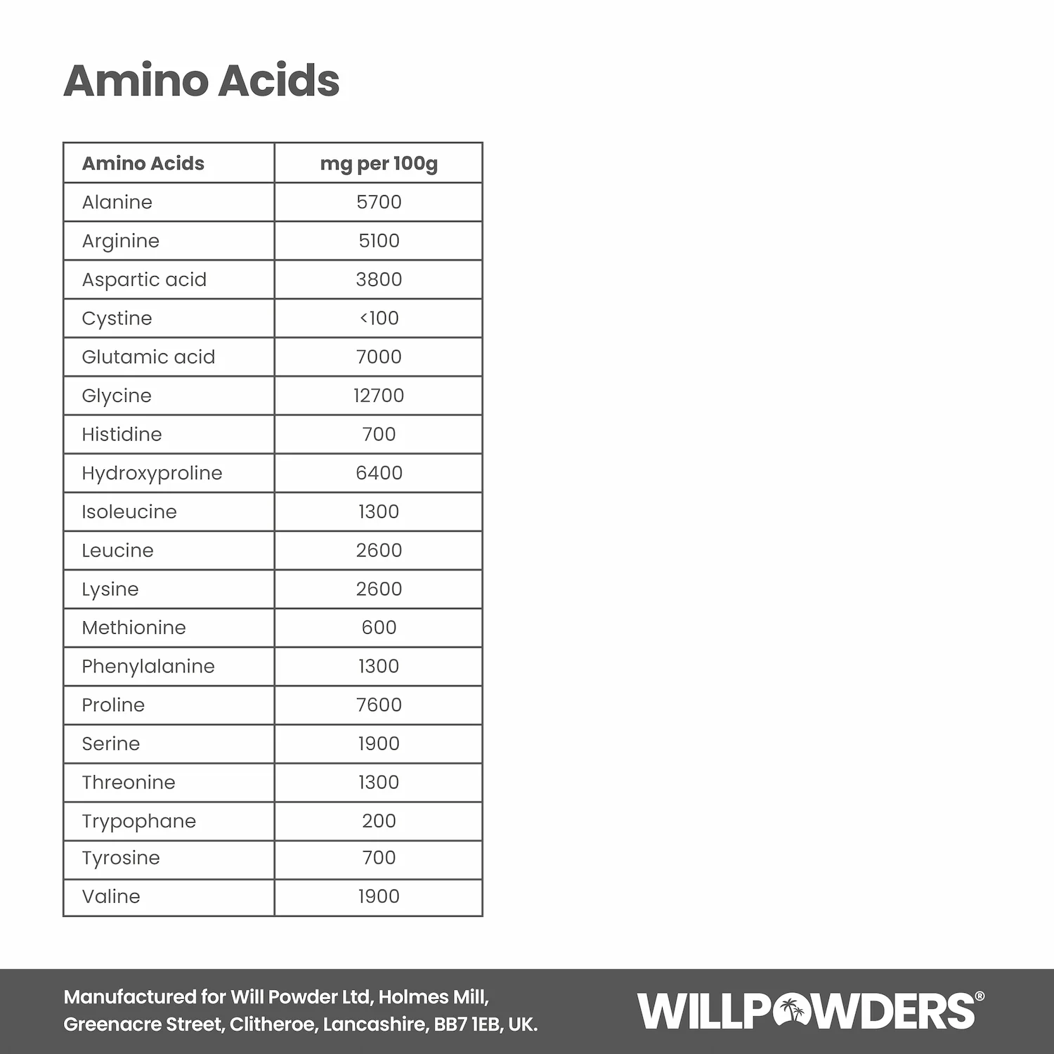 Sweet Ginger Spice Keto Protein Powder - Image 9